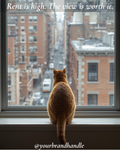 The City Windowsill